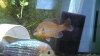 IMG_20130708_180944_709.jpg