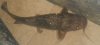 DSCF8034.JPG