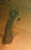 DSCF8083.JPG