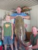 flathead2.jpg