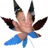 leaf.jpg