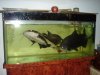 DSC06574.JPG