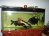 DSC06576.JPG