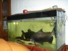 DSC06579.JPG