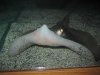 IMG_8846.JPG
