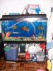 100_1561.JPG