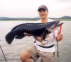 05090017_snakehead.jpg