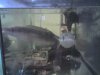 28-04-07_0147.jpg