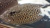 20130714_180556.jpg