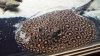 20130714_180810.jpg