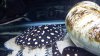 20130714_220539.jpg
