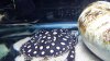 20130714_220543.jpg