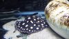 20130714_220602.jpg