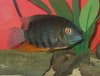 DSCN0535.JPG