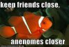 ImageUploadedByMonsterAquariaNetwork1374686000.879046.jpg