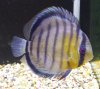 20130710_191538.jpg