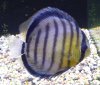 20130710_191543.jpg