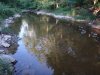 DSC00072.JPG