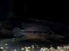 20130725_024814.jpg 20130725_024814.jpg