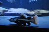 DSC_1149.JPG