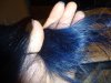 DSC01607.JPG