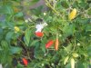 DSCN3011.JPG