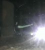 IMAG0213.jpg