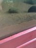 ImageUploadedByMonsterAquariaNetwork1377201628.089393.jpg