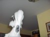 new pic angels 289.jpg