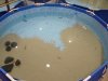 pondmay075.jpg