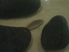 pondmay076.jpg