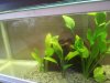 20130825_145437.jpg 20130825_145437.jpg