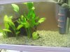 20130825_145453.jpg 20130825_145453.jpg