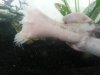 20130831_102618.jpg