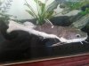20130831_102626.jpg