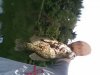 uploadfromtaptalk1377997677131.jpg