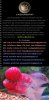 fwflowerhorn1379263419.jpg