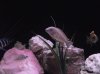 DSCF1809.JPG