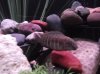DSCF1467.JPG