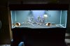 DSC_0794.JPG