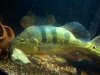 IMG-20130907-00476 5.jpg