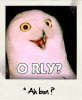 ImageUploadedByMonsterAquariaNetwork1378669388.259742.jpg