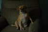 DSC_0071.JPG