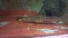 2013-09-05_18-22-42_644.jpg