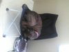 uploadfromtaptalk1378820067647.jpg