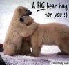bear hug.jpg