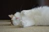DSC_0016.JPG