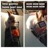 nom.jpg