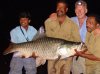 cauvery river mahseer 2.jpg cauvery river mahseer 2.jpg