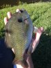 DSC00411.JPG